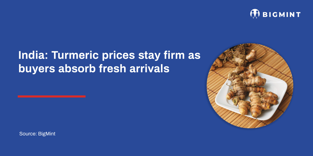 India: Turmeric prices stay firm as buyers absorb fresh arrivals | BigMint