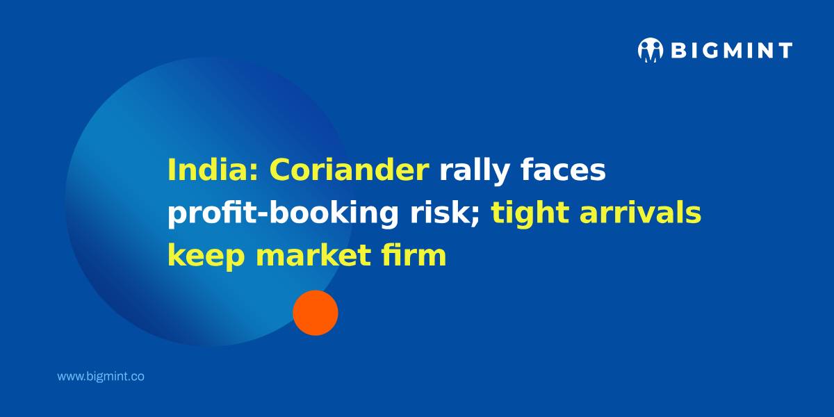 India: Coriander rally faces profit-booking risk; tight arrivals keep market firm