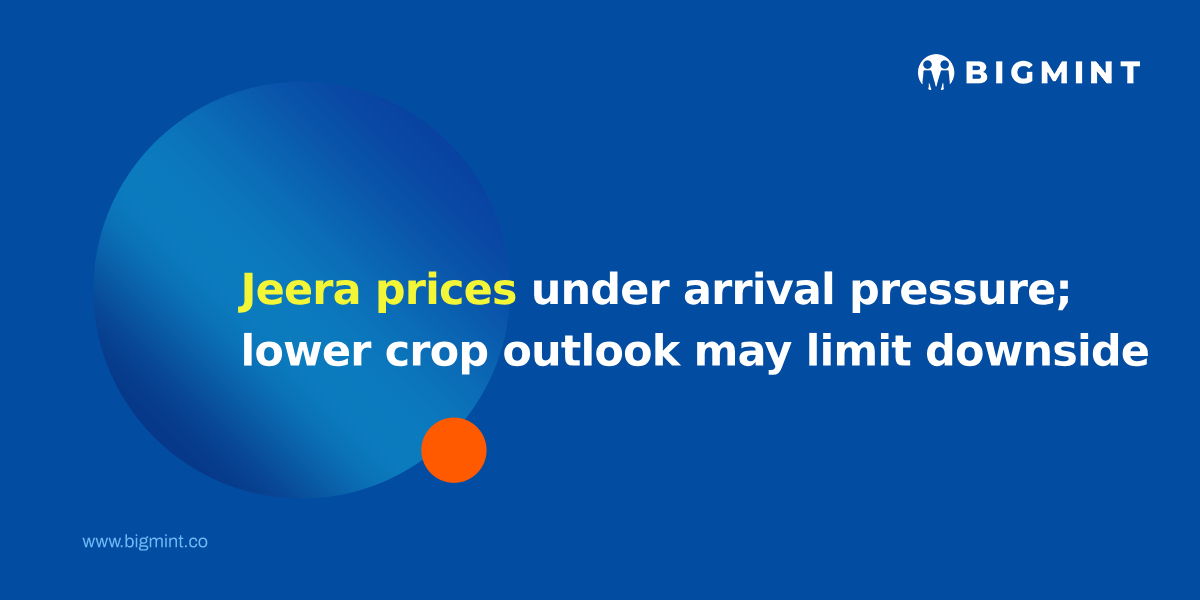 Jeera prices under arrival pressure; lower crop outlook may limit downside