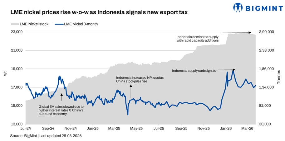 Steel Mint Insights