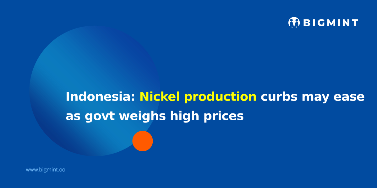 Steel Mint Insights