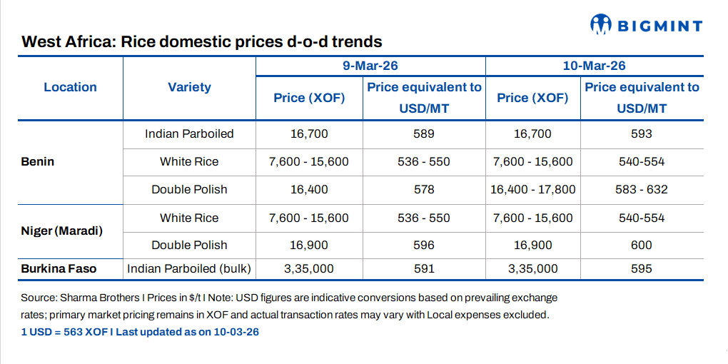 Steel Mint Insights