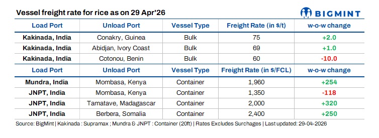Steel Mint Insights
