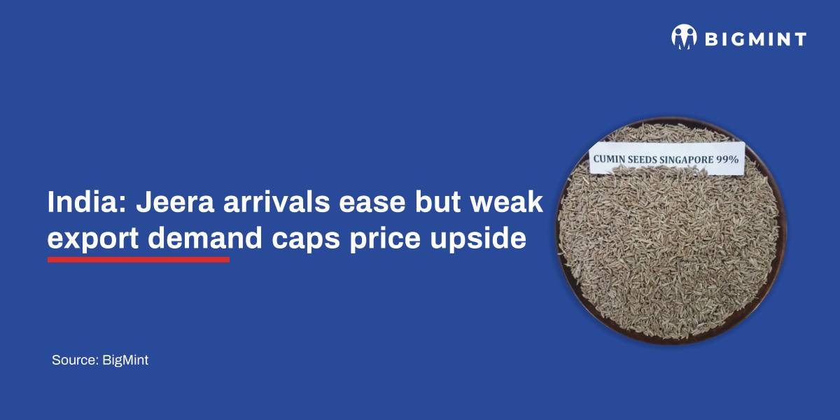 India: Jeera arrivals ease but weak export demand caps price upside