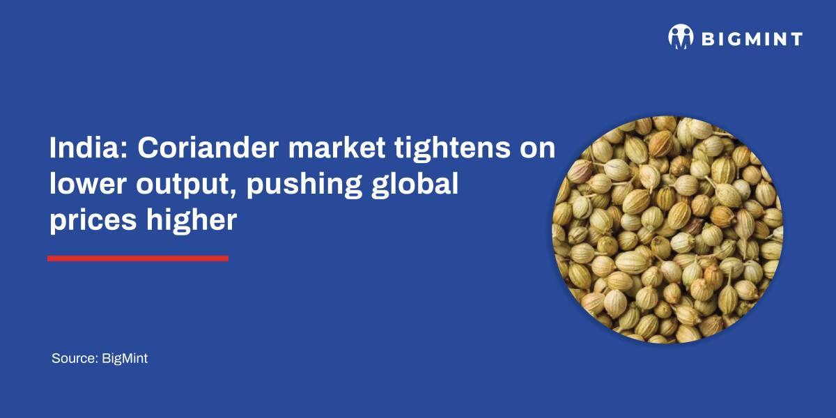 India: Coriander market tightens on lower output, pushing global prices higher