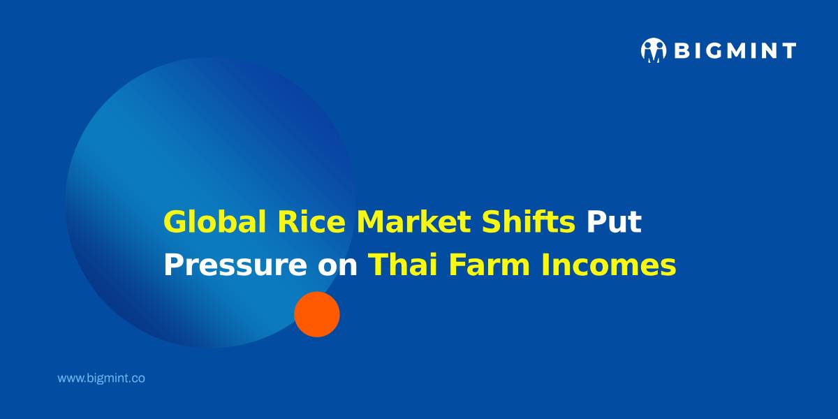 Global Rice Market Shifts Put Pressure on Thai Farm Incomes  