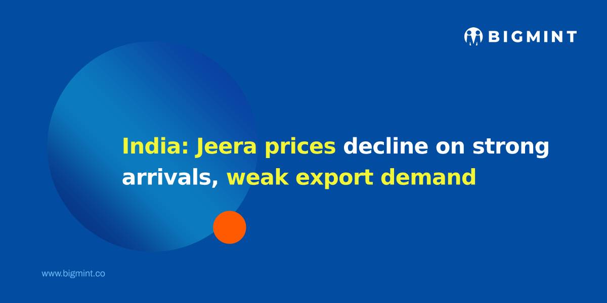 India: Jeera prices decline on strong arrivals, weak export demand