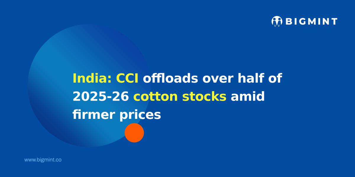 India: CCI offloads over half of 2025-26 cotton stocks amid firmer prices
