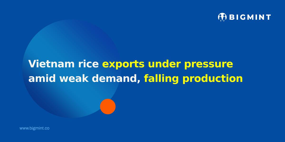 Vietnam rice exports under pressure amid weak demand, falling production