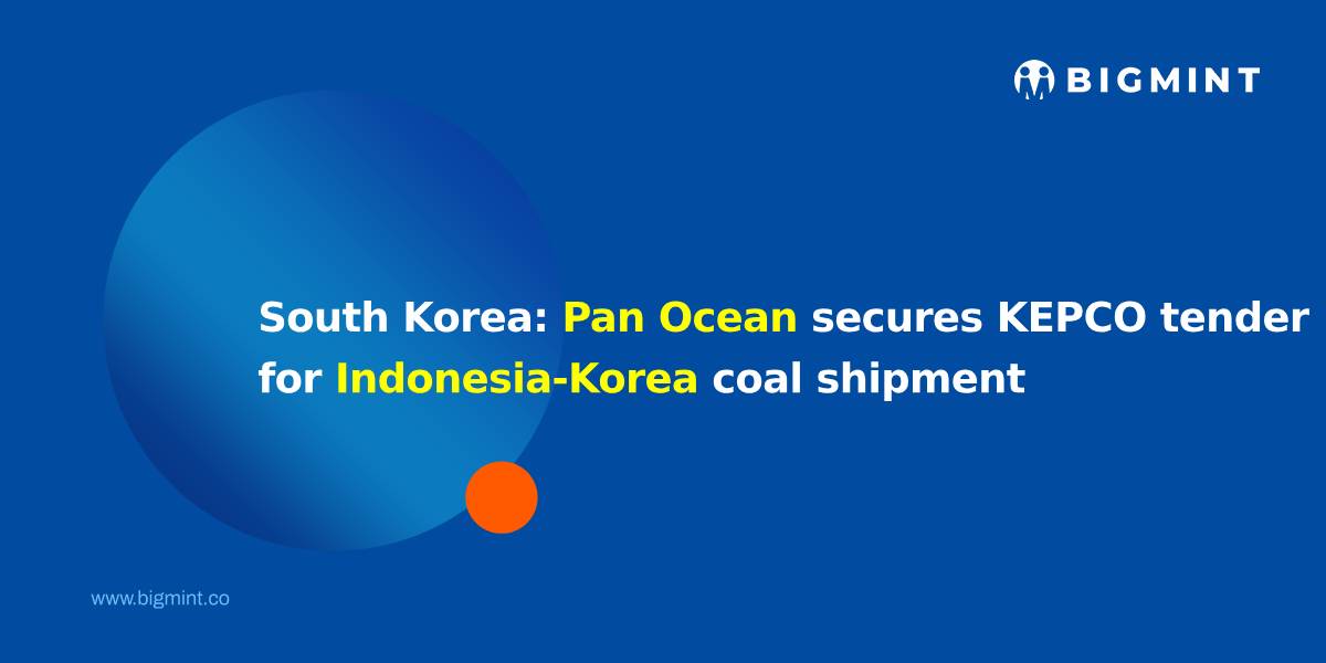 Steel Mint Insights