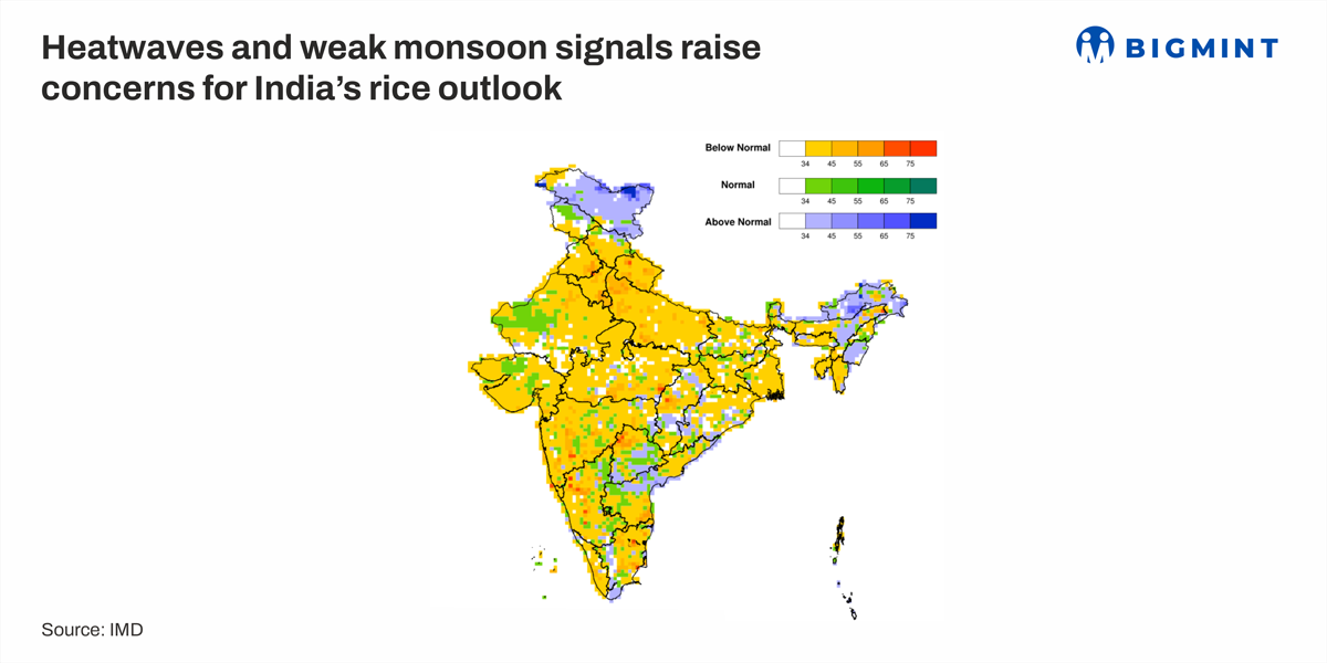 Heatwaves and weak monsoon signals raise concerns for India's rice outlook