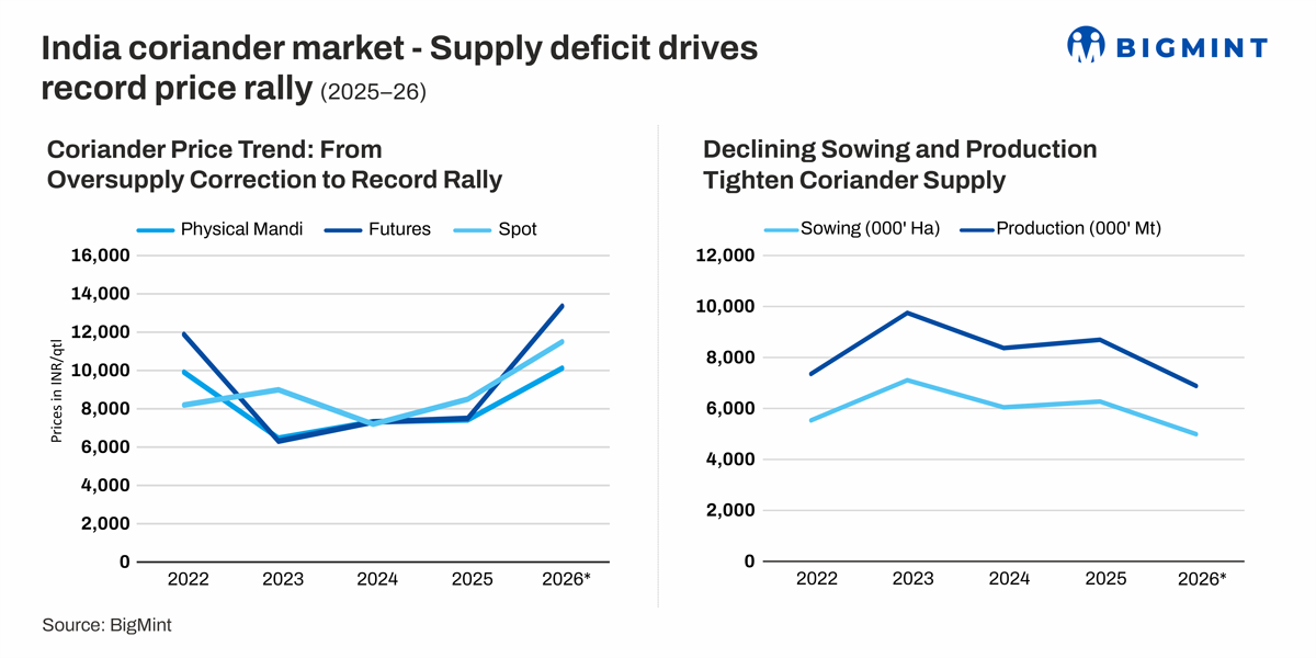 Indian coriander prices surge to record highs in 2026 amid persistent supply squeeze
