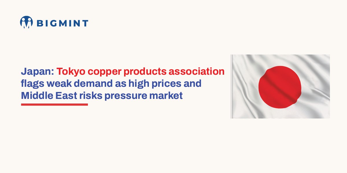 Steel Mint Insights