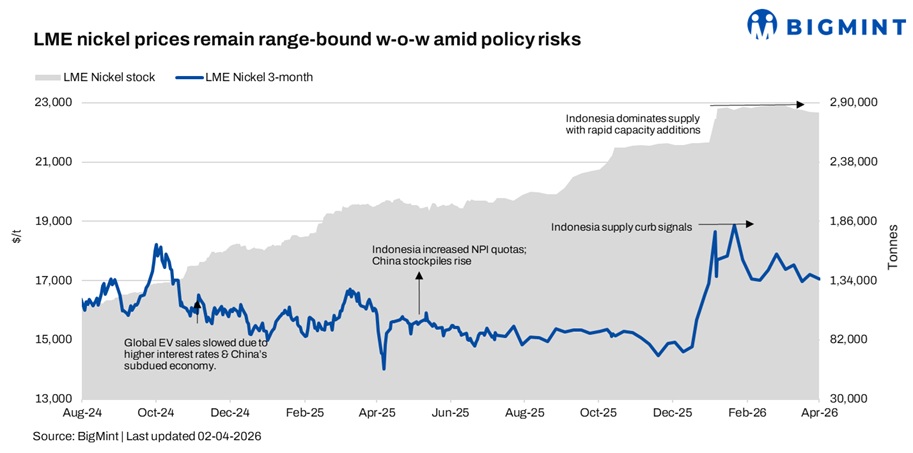 Steel Mint Insights
