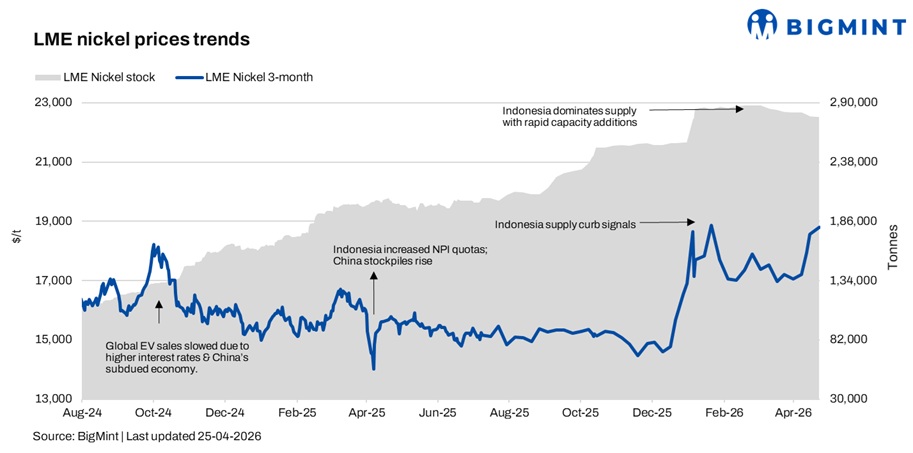 Steel Mint Insights