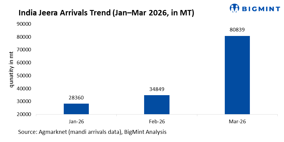 Steel Mint Insights