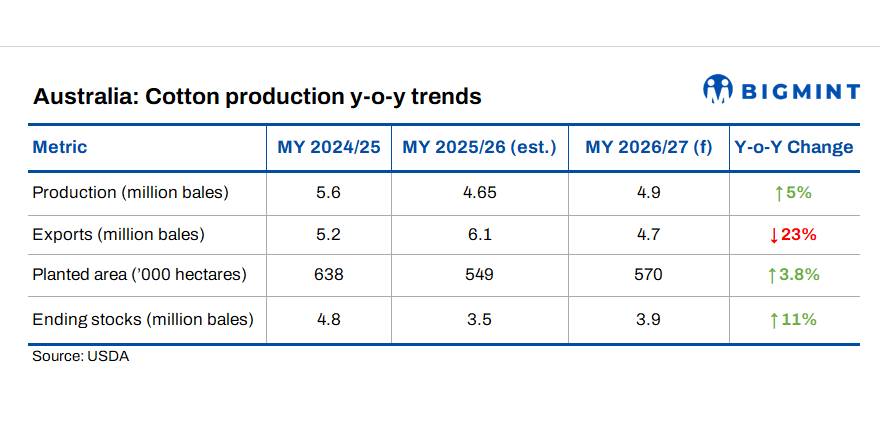 Steel Mint Insights