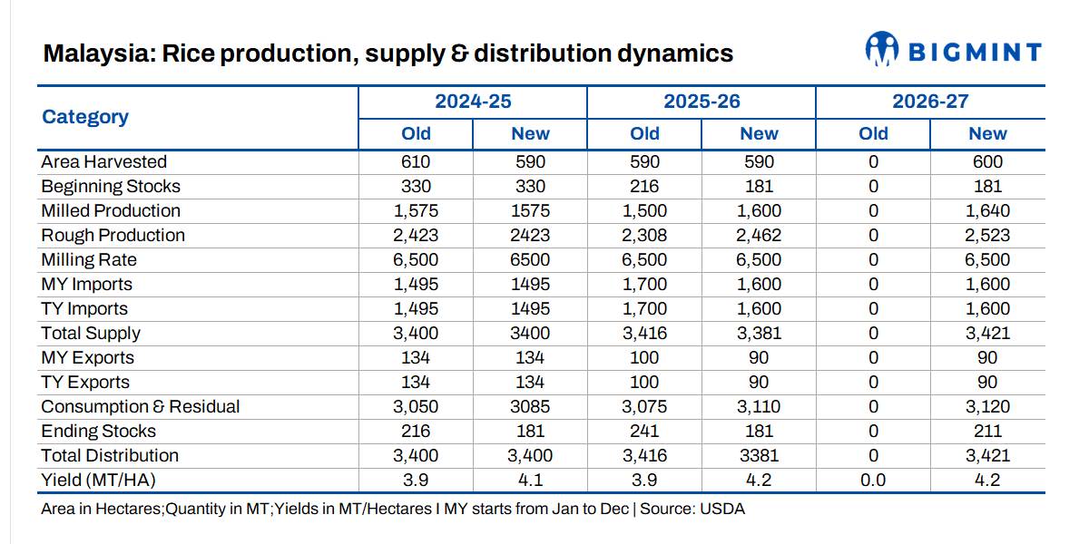 Steel Mint Insights