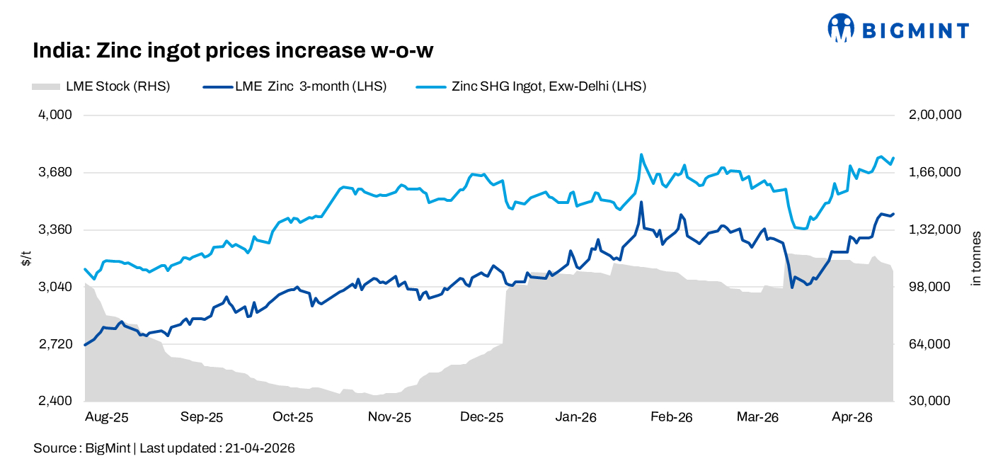 Steel Mint Insights