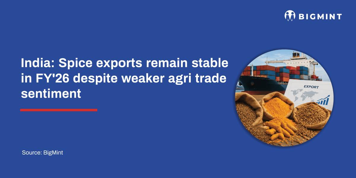 India: Spice exports remain stable in FY'26 despite weaker agri trade sentiment