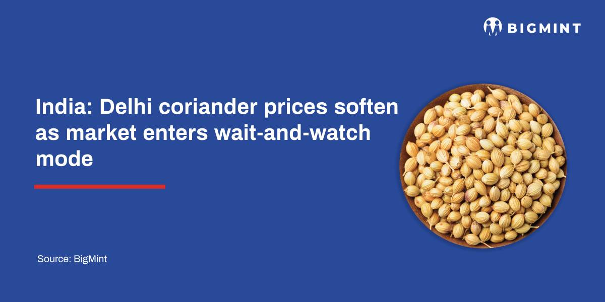 India: Delhi coriander prices soften as market enters wait-and-watch mode