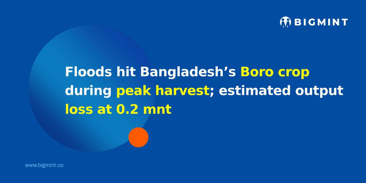 Floods hit Bangladesh's Boro crop during peak harvest; estimated output loss at 0.2 mnt