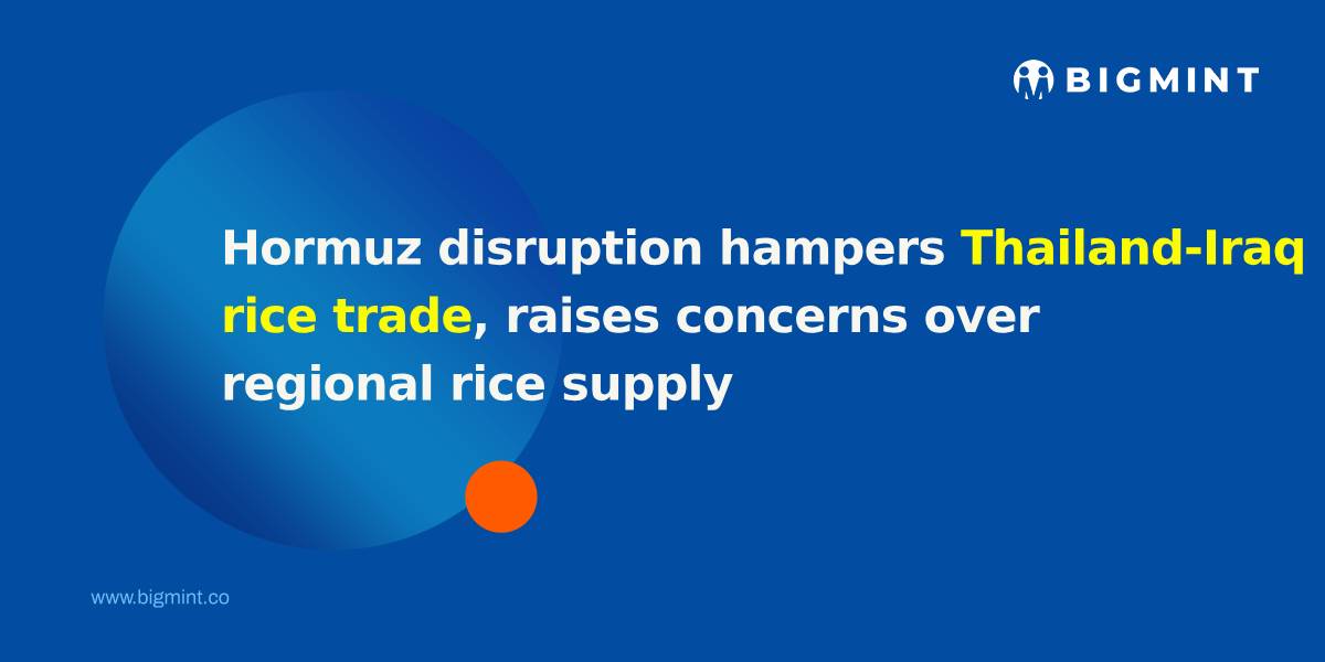 Hormuz disruption hampers Thailand-Iraq rice trade, raises concerns over regional rice supply