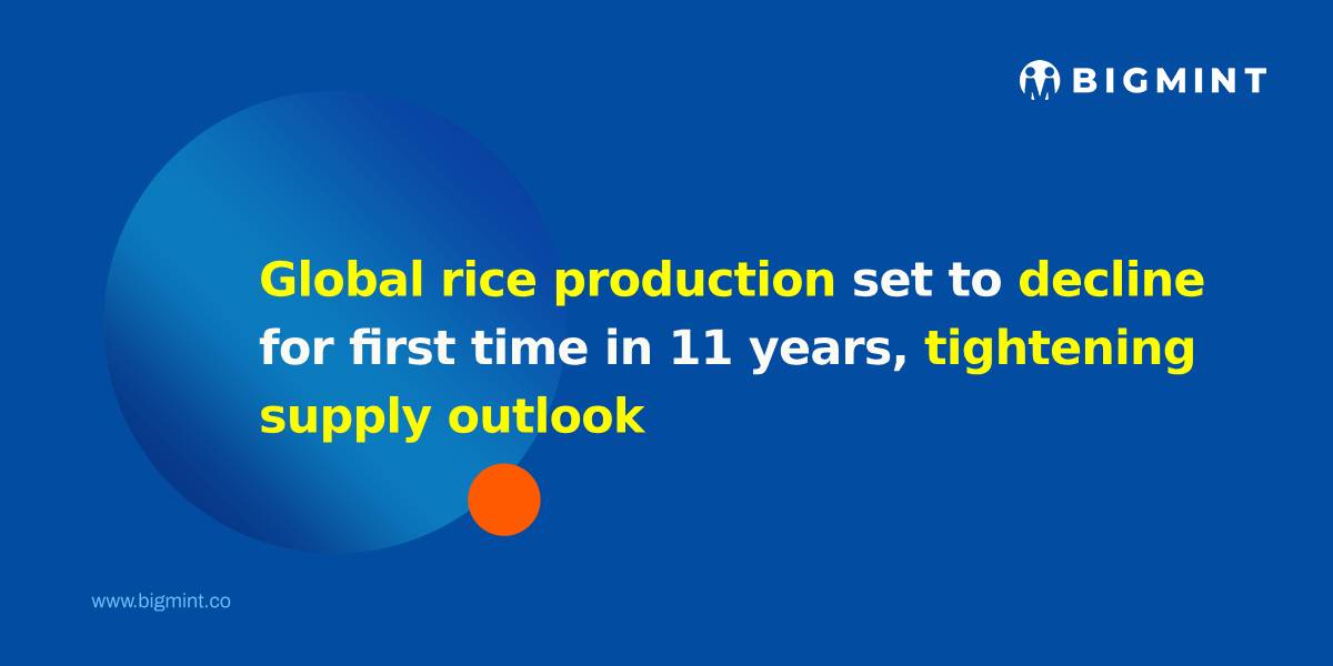 Decline Rice Global rice production set to decline for first time in 11 years ...