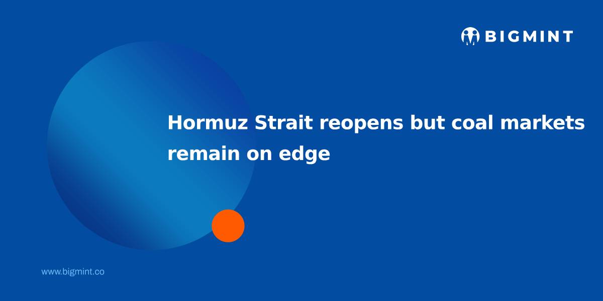 Steel Mint Insights