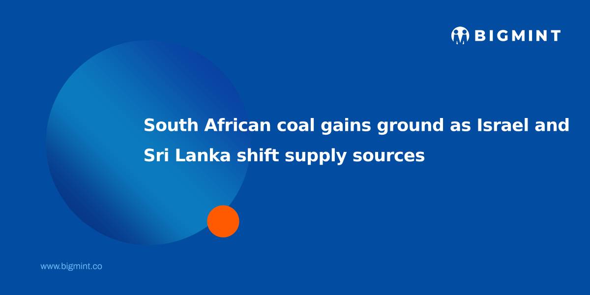 Steel Mint Insights