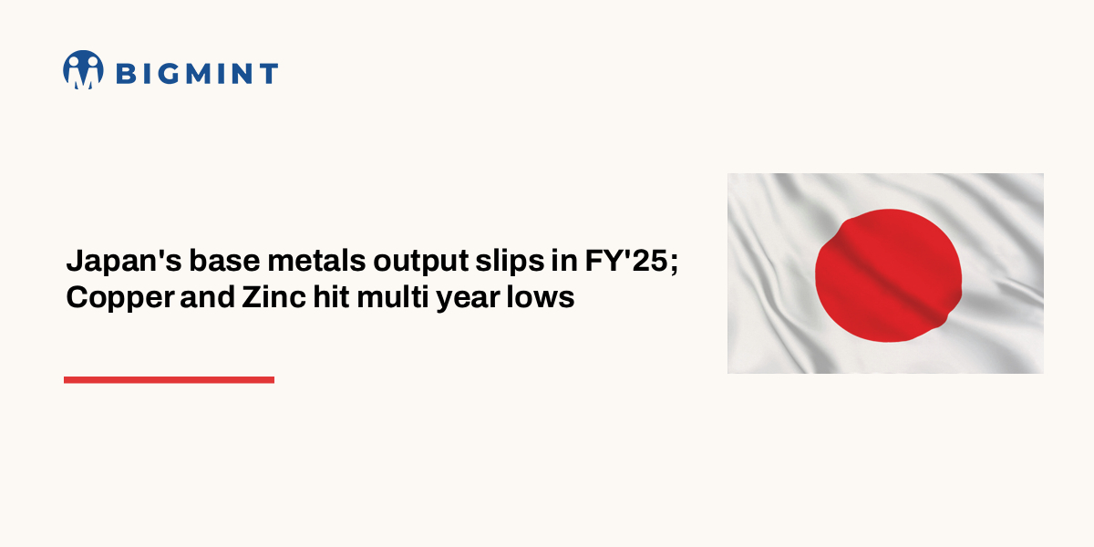 Steel Mint Insights
