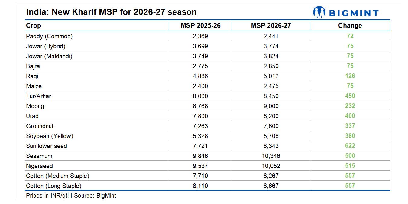 Steel Mint Insights