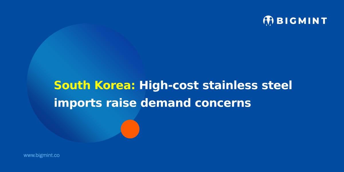Steel Mint Insights