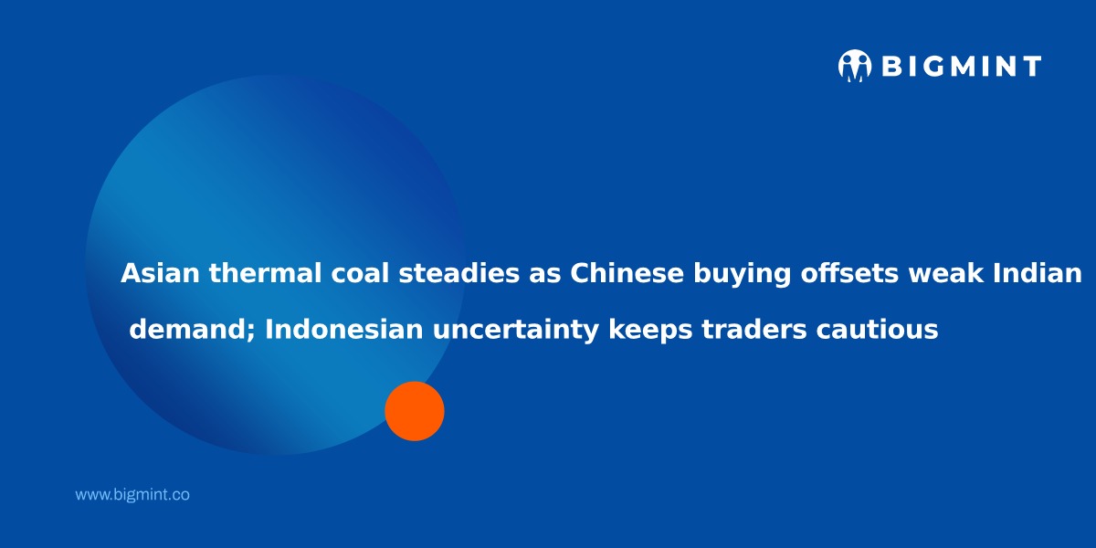 Steel Mint Insights