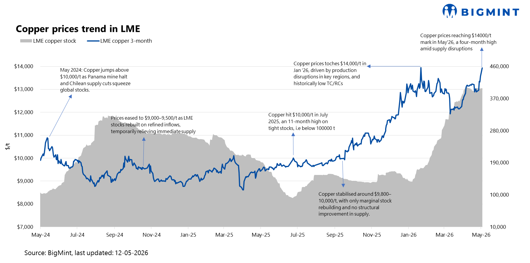 Steel Mint Insights