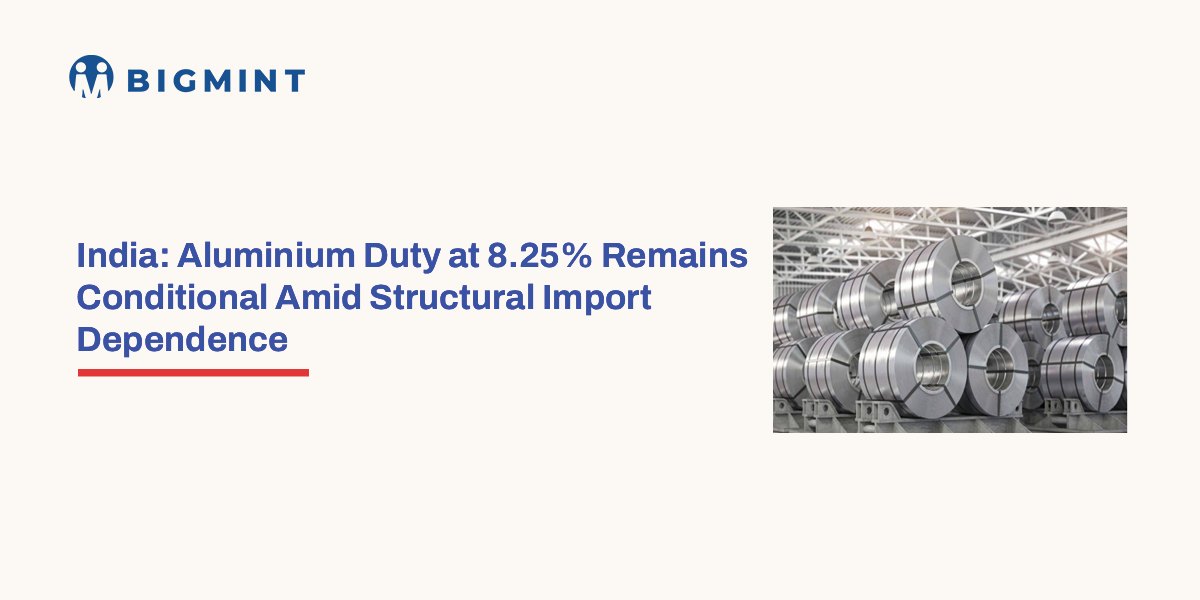 Steel Mint Insights