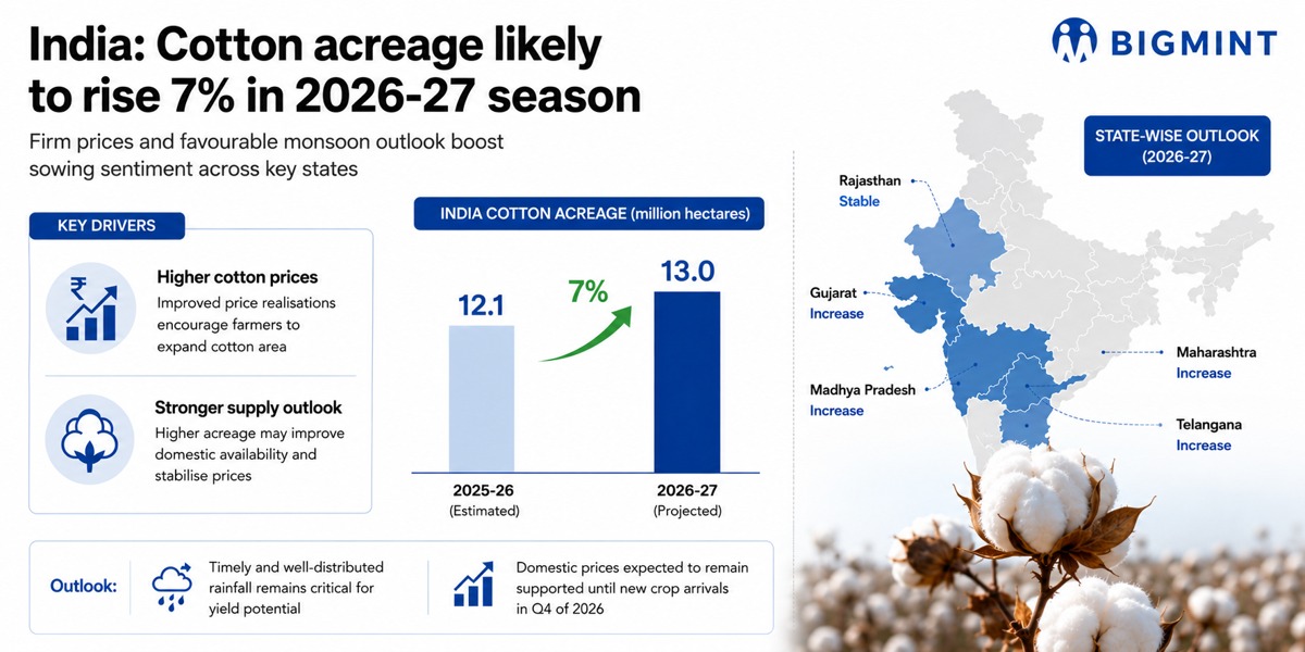 Steel Mint Insights