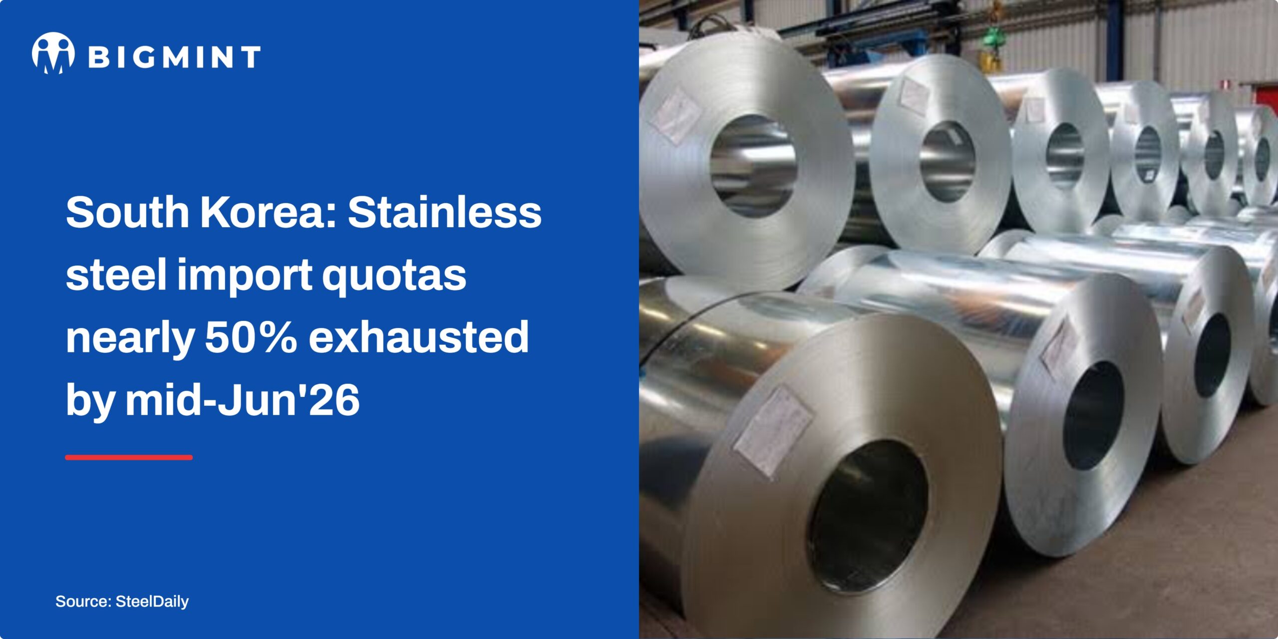 Steel Mint Insights
