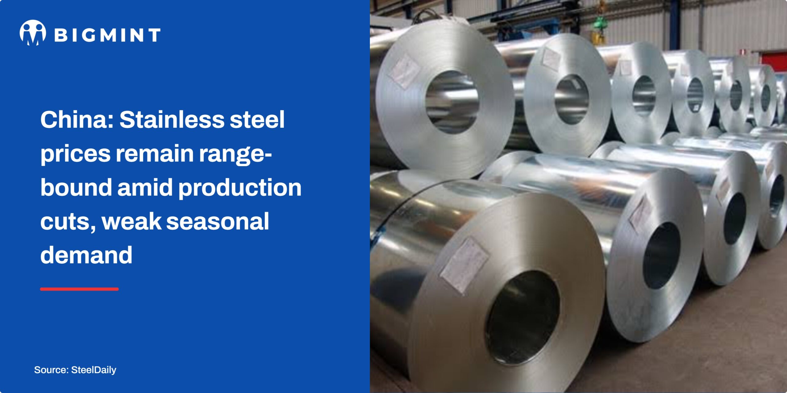 Steel Mint Insights