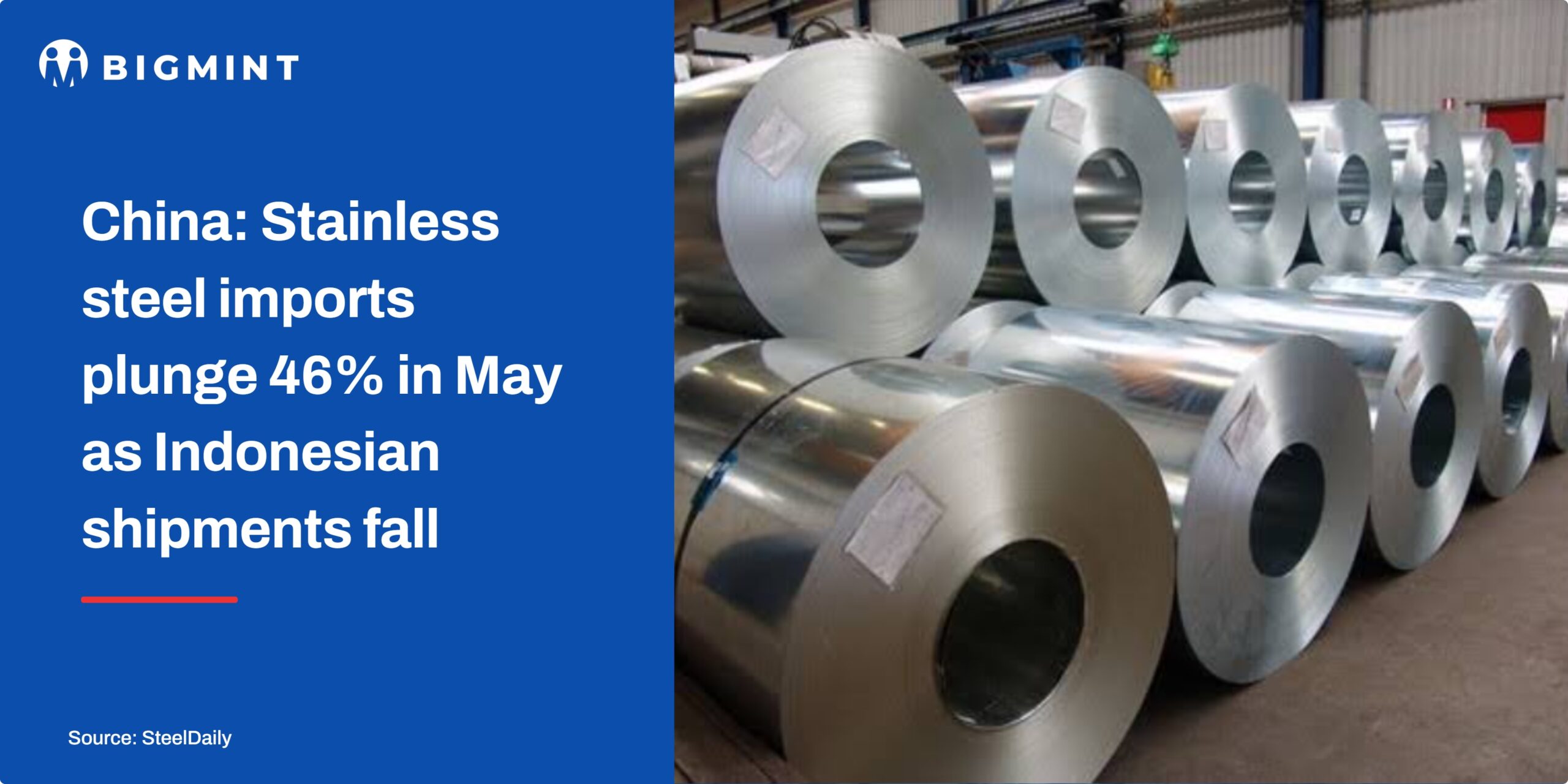 Steel Mint Insights