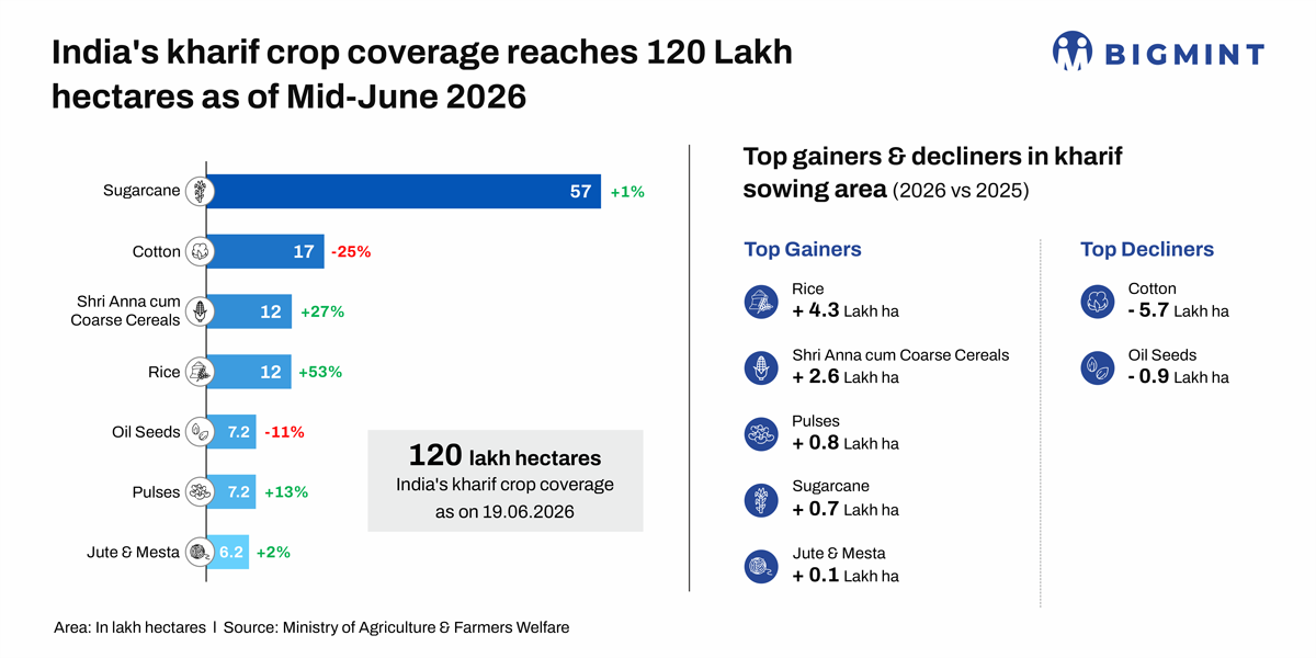 India: Delayed monsoon and El Nio raise uncertainty over kharif sowing