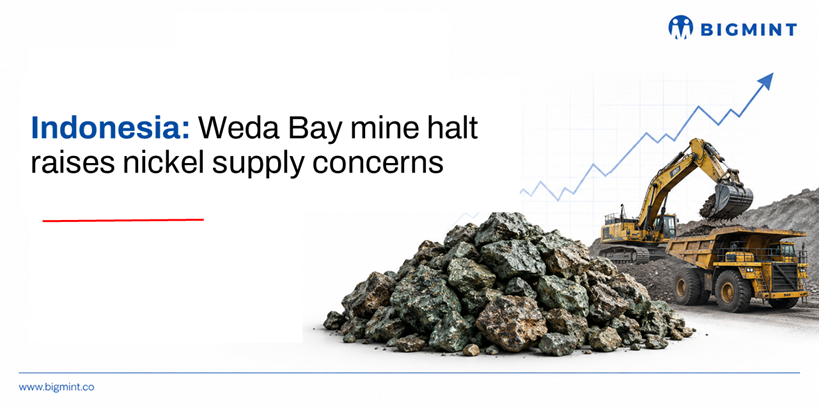Steel Mint Insights