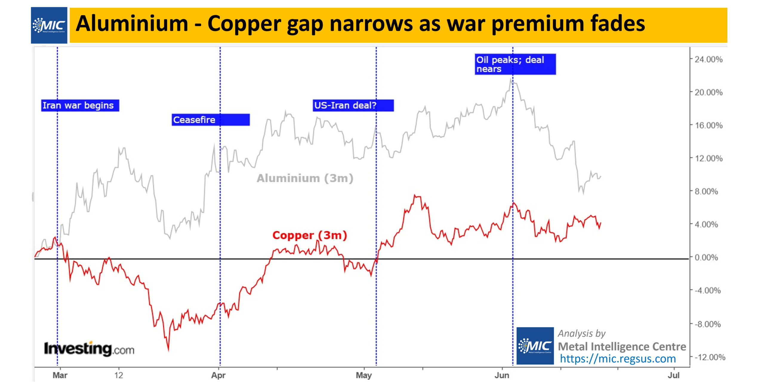 Steel Mint Insights