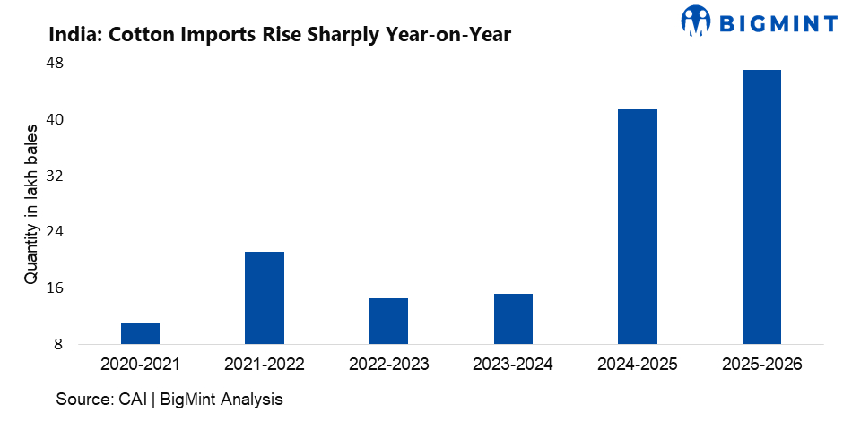 Steel Mint Insights