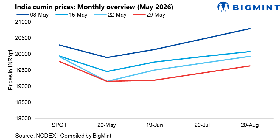 India: Cumin market extends correction in May as futures remain under pressure