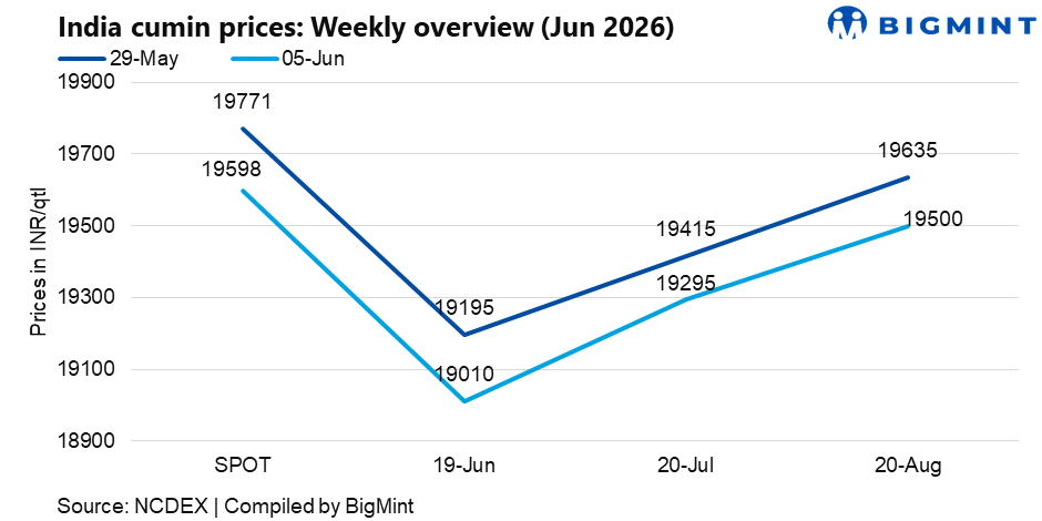 Steel Mint Insights