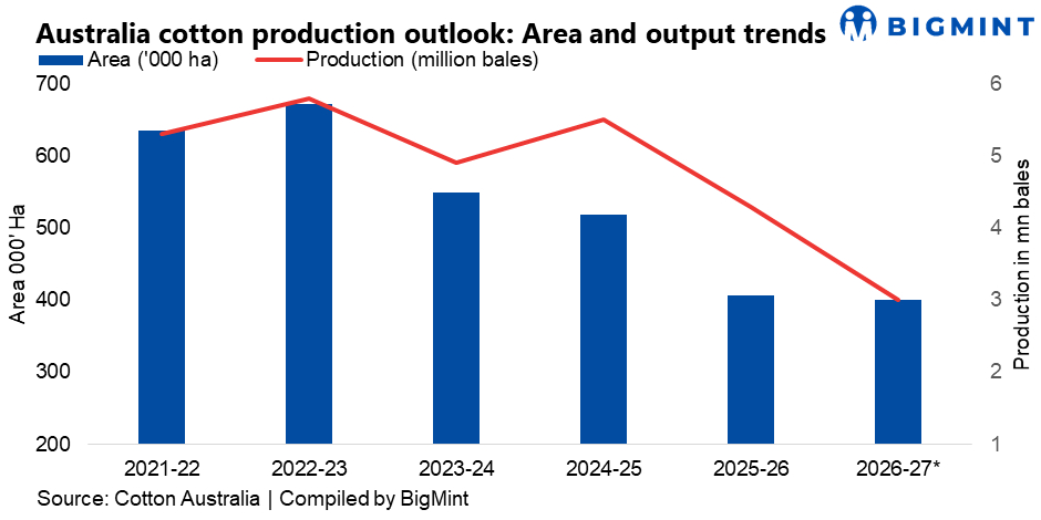 Steel Mint Insights
