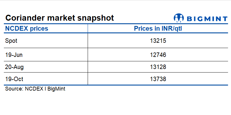 Steel Mint Insights