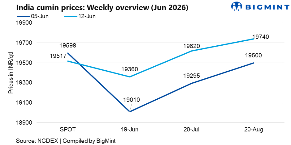 Steel Mint Insights