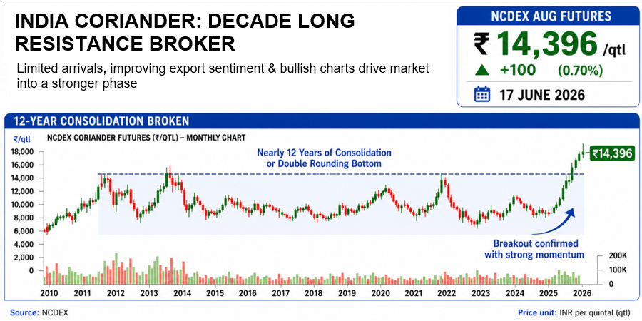 Steel Mint Insights
